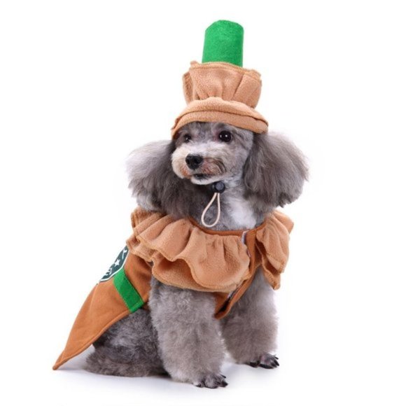 Starbucks Pumpkin Dog Dress Up, Funny Pet Costume Cosplay Halloween Party Sz S - Picture 8 of 10